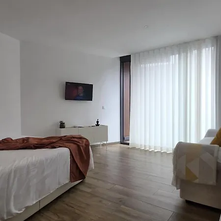 A Proa Do Moliceiro - Iconik Design Apartmán Aveiro